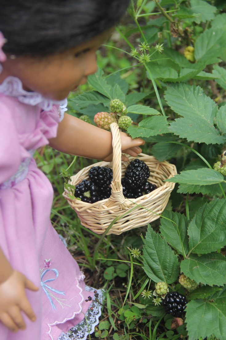 Blackberry picking adventure for Josephina a American Girl Doll