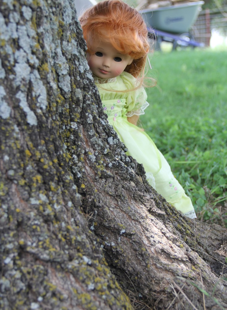 The Dolls Visit the Farm! Bonnie and her friends see the goats and cows....while Josefina and Felicity meet the dogs and bunnies