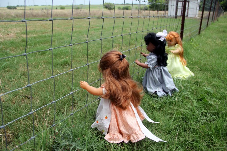 The Dolls Visit the Farm! Bonnie and her friends see the goats and cows....while Josefina and Felicity meet the dogs and bunnies