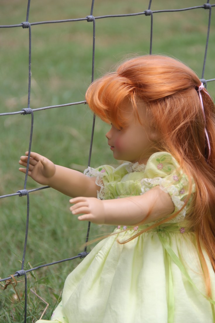 The Dolls Visit the Farm! Bonnie and her friends see the goats and cows....while Josefina and Felicity meet the dogs and bunnies
