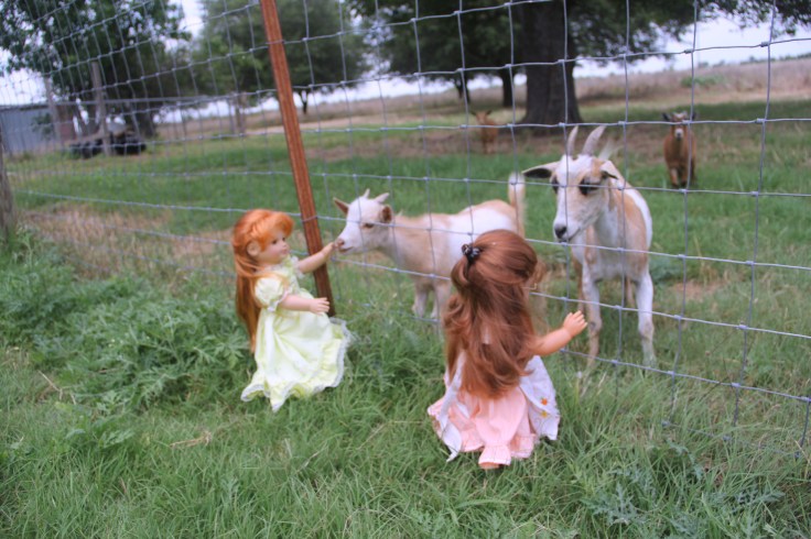 The Dolls Visit the Farm! Bonnie and her friends see the goats and cows....while Josefina and Felicity meet the dogs and bunnies