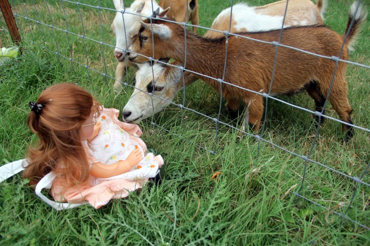 The Dolls Visit the Farm! Bonnie and her friends see the goats and cows....while Josefina and Felicity meet the dogs and bunnies