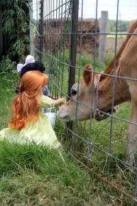 The Dolls Visit the Farm! Bonnie and her friends see the goats and cows....while Josefina and Felicity meet the dogs and bunnies