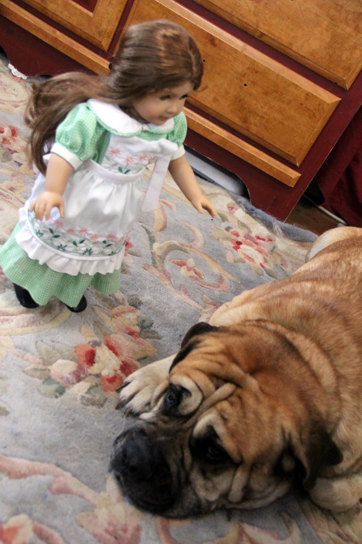 The Dolls Visit the Farm! Bonnie and her friends see the goats and cows....while Josefina and Felicity meet the dogs and bunnies