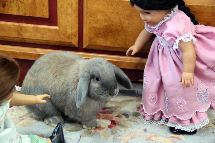 The Dolls Visit the Farm! Bonnie and her friends see the goats and cows....while Josefina and Felicity meet the dogs and bunnies