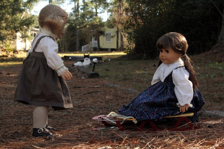 Sleds don't work well if you don't have snow!- by Stitching with Elli