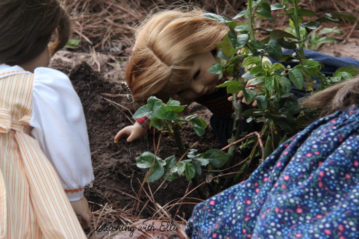 Planting a rose- a 18" doll adventure with Nellie by Stitching with Elli