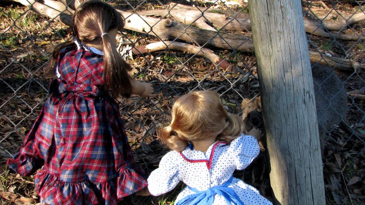 Bridget and Debbie explore a wildlife park in Australia! see more of their adventures at www.stitchingwithelli.com