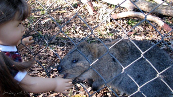 Bridget and Debbie explore a wildlife park in Australia! see more of their adventures at www.stitchingwithelli.com