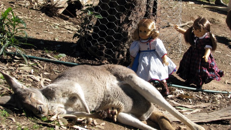 Bridget and Debbie explore a wildlife park in Australia! see more of their adventures at www.stitchingwithelli.com