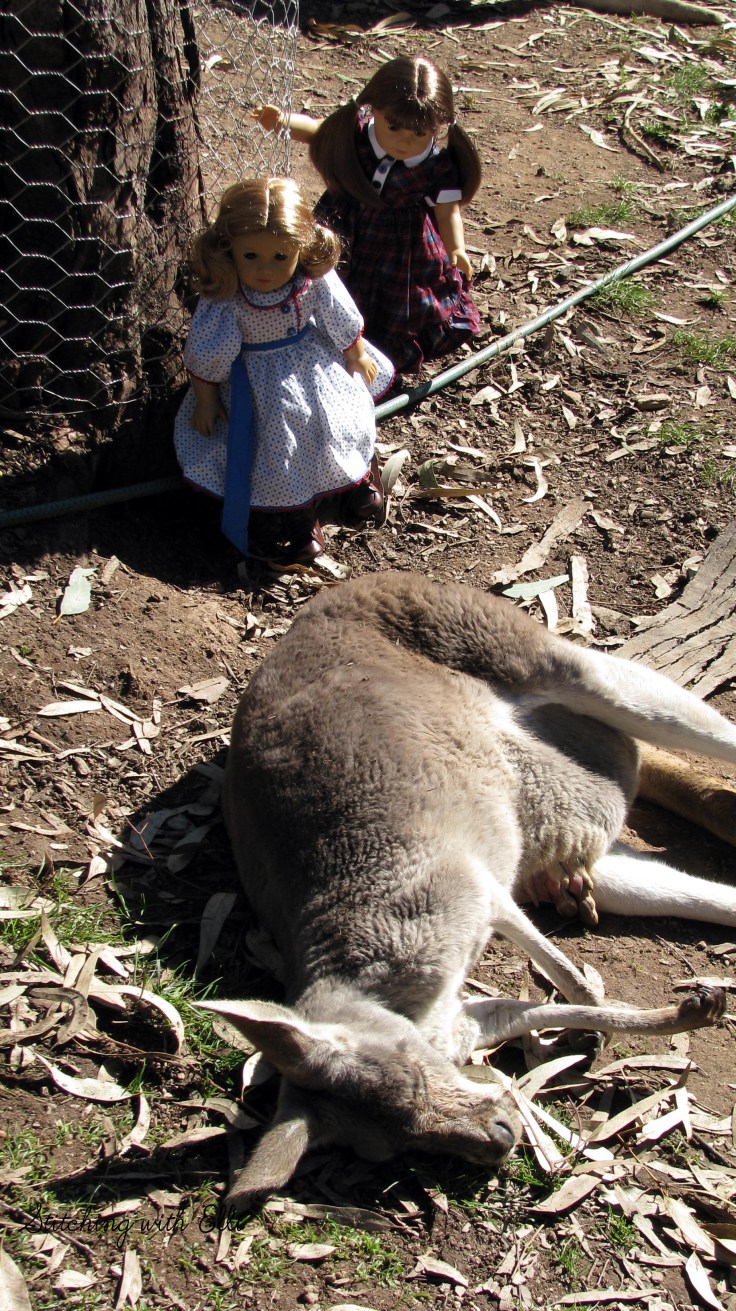 Bridget and Debbie explore a wildlife park in Australia! see more of their adventures at www.stitchingwithelli.com