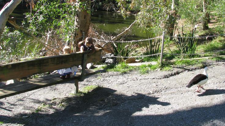 Bridget and Debbie explore a wildlife park in Australia! see more of their adventures at www.stitchingwithelli.com