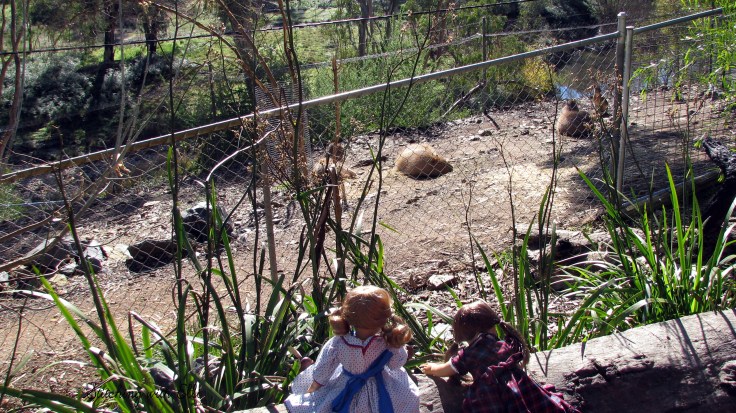 Bridget and Debbie explore a wildlife park in Australia! see more of their adventures at www.stitchingwithelli.com