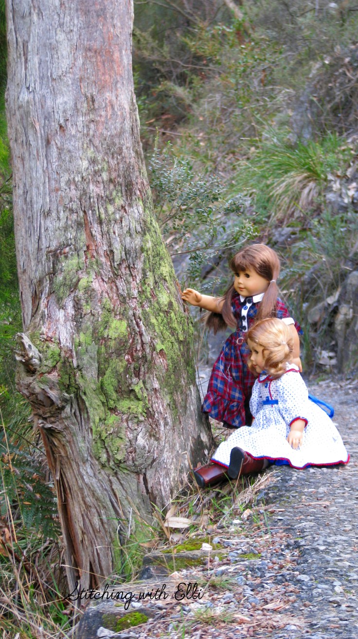 Bridget and Debbie hike up Mount Lofty- see more on www.stitchingiwthelli.com