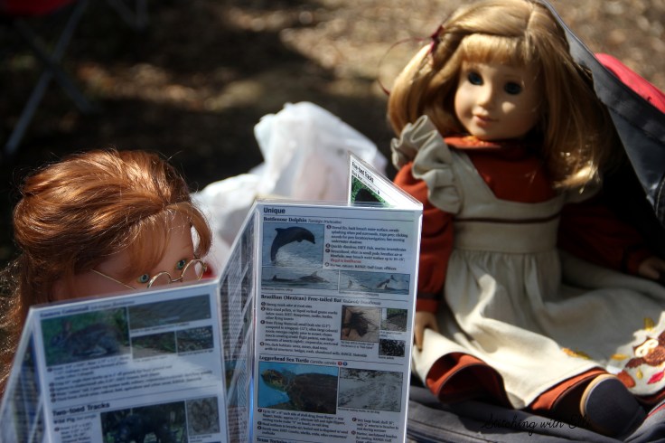 Ellen studies a brochure about possible animals they might see while hiking- see the story on www.stitchingwithelli.com