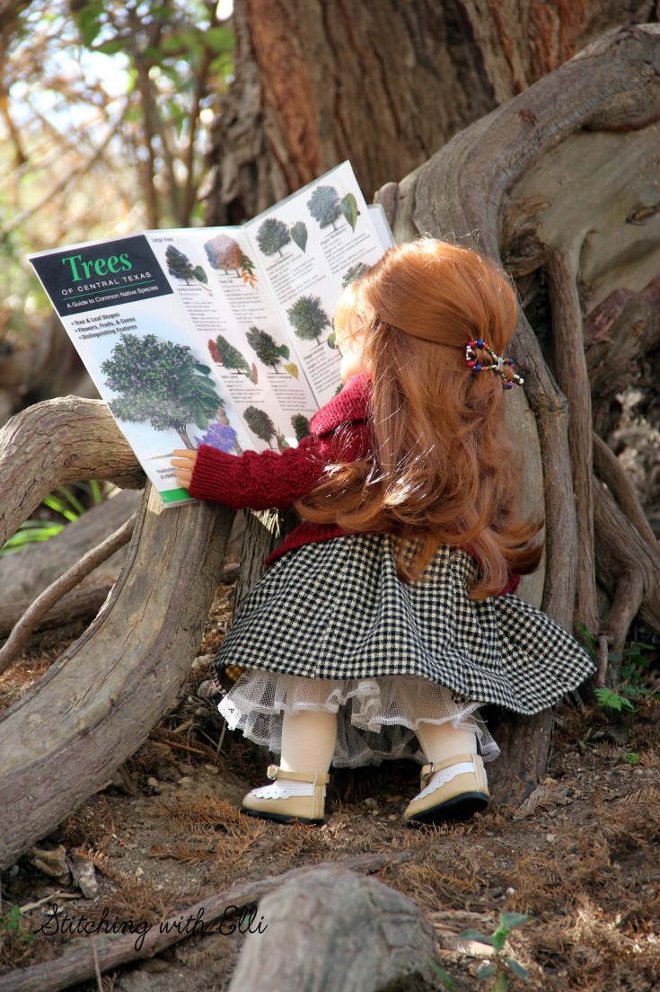 Nellie and Ellen hike in Guadelope state park- a 18" doll adventure www.stitchingwithelli.com
