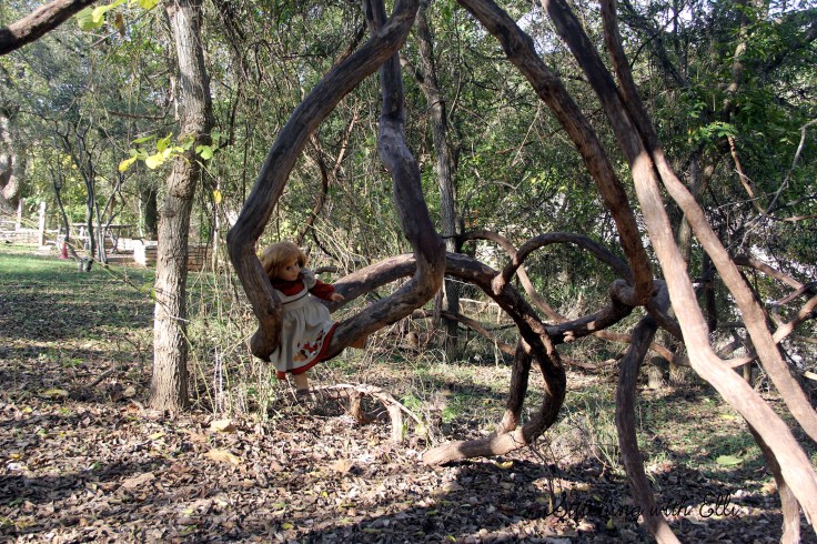 Nellie and Ellen hike in Guadelope state park- a 18" doll adventure www.stitchingwithelli.com