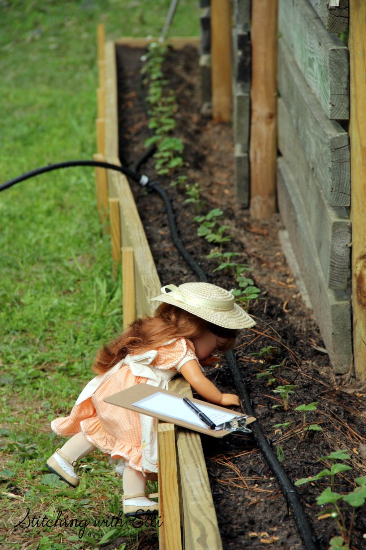 Ellen inspects the strawberries- see the whole story on www.stitchingwithelli.com