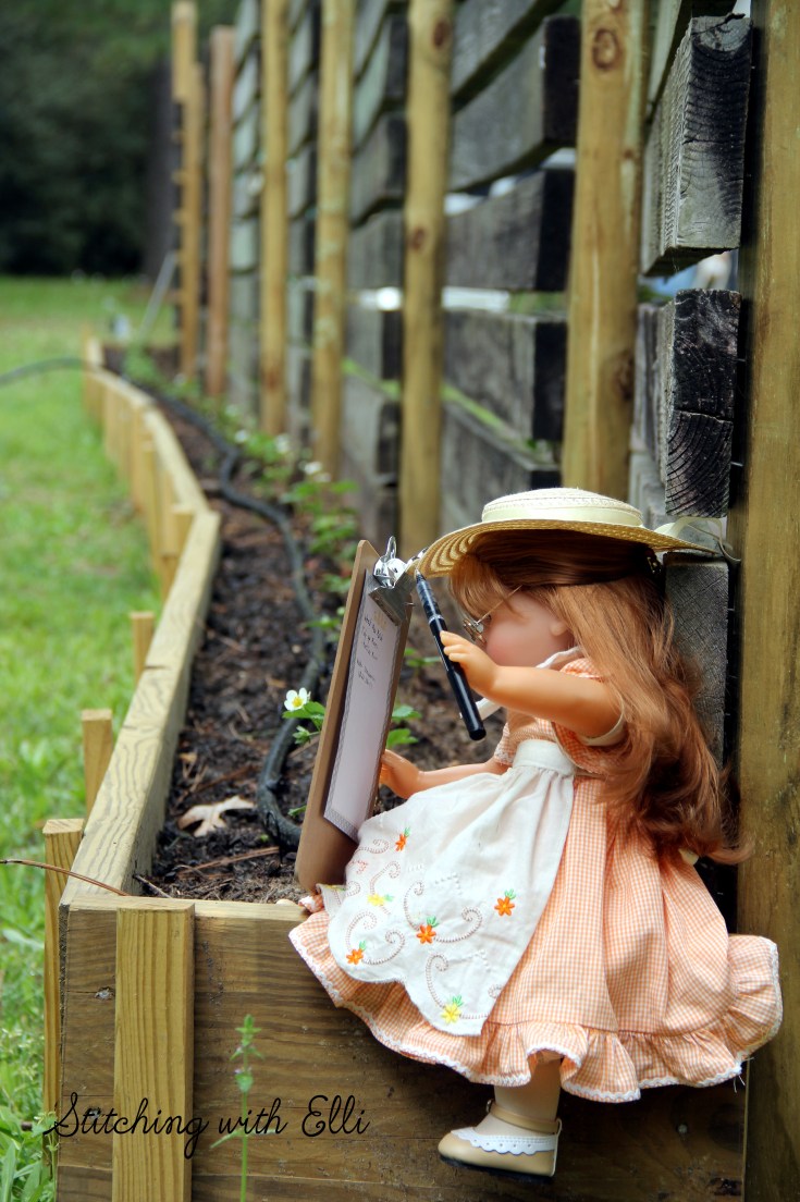 Ellen inspects the strawberries- see the whole story on www.stitchingwithelli.com